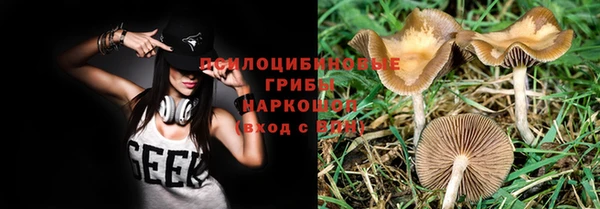 кристаллы Губаха