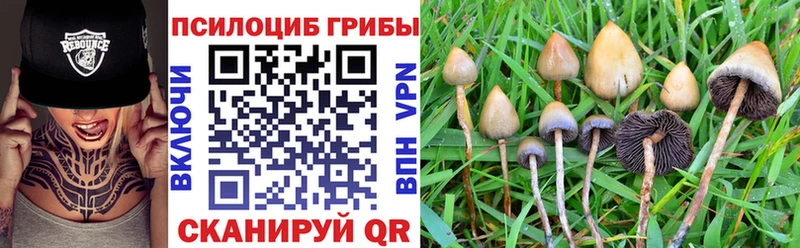 Галлюциногенные грибы Psilocybine cubensis  Липки 